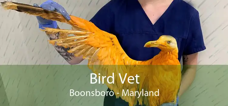 Bird Vet Boonsboro - Maryland