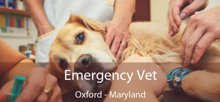 Emergency Vet Oxford - Maryland