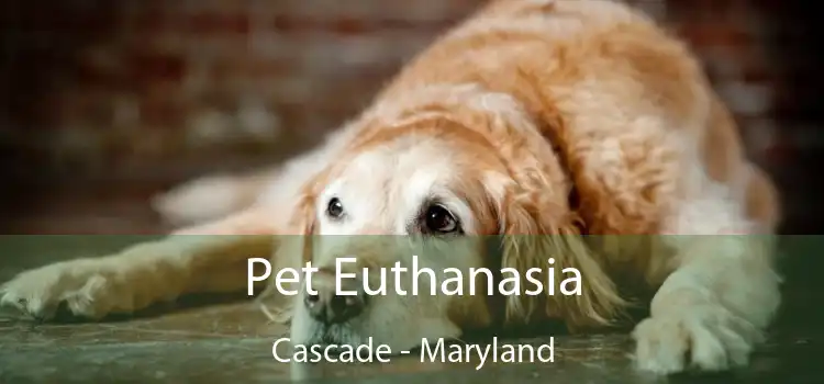 Pet Euthanasia Cascade - Maryland